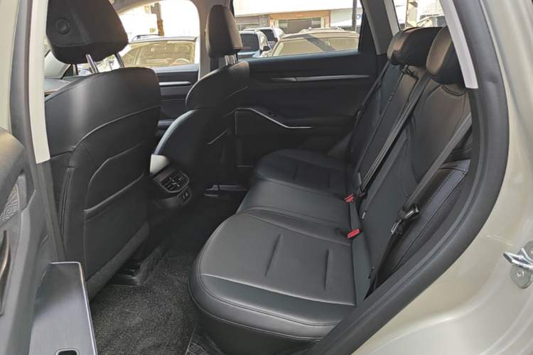 Used Haval H6 2024 1.5T Two-Wheel Drive Ultra Left Rear Seat