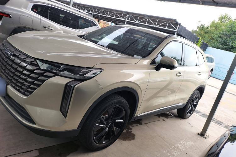 Used Haval H6 2024 1.5T Two-Wheel Drive Ultra Left Side