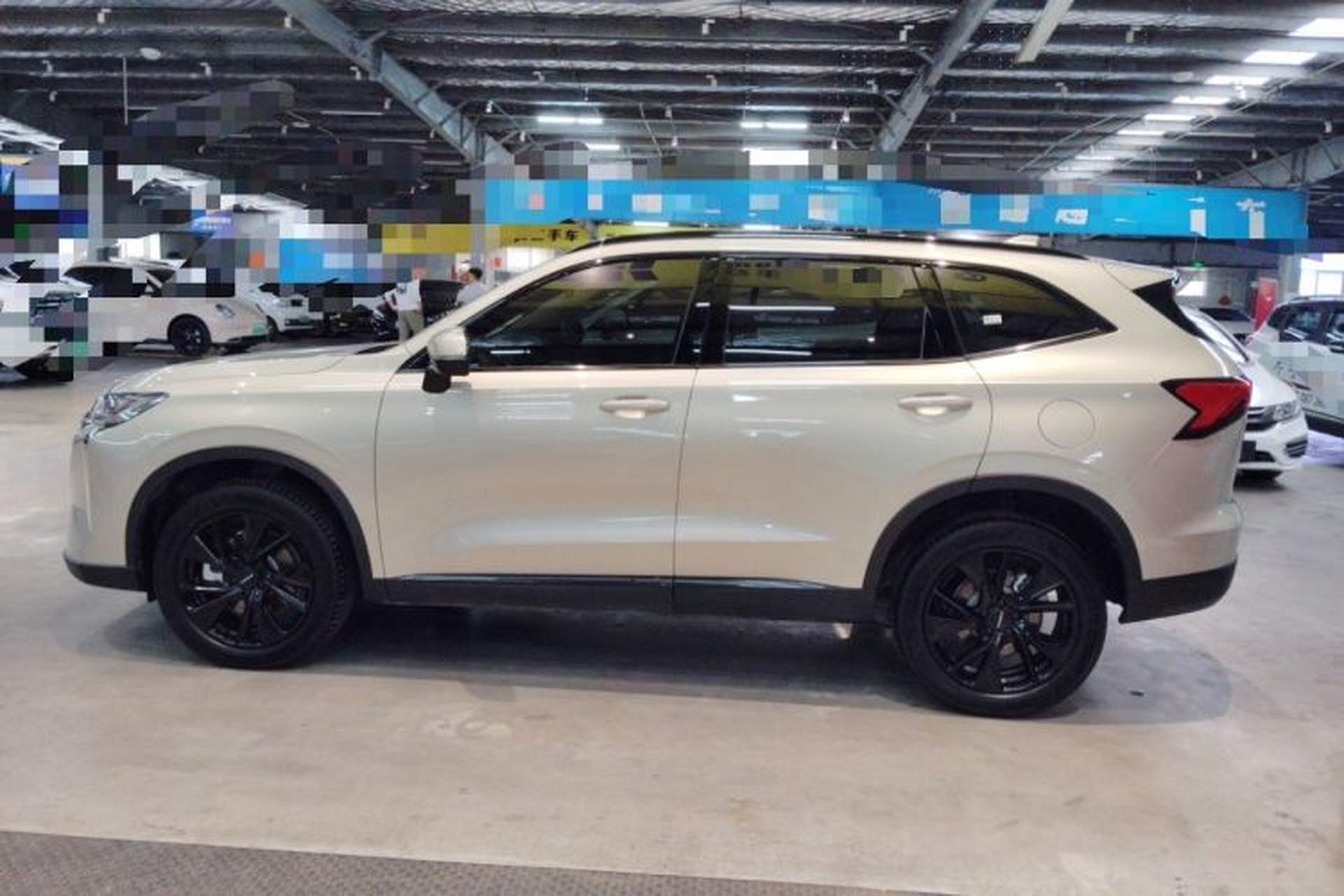 Used Haval H6 2024 2.0T All-Wheel Drive Max Left Side