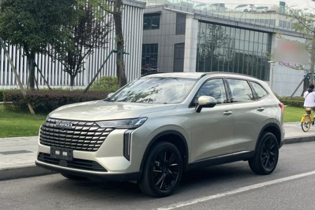 Haval H6 2024 1.5T Two-Wheel Drive Ultra de segunda mano