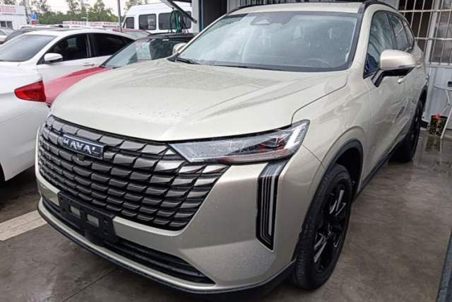 Used Haval H6 2024 1.5T Two-Wheel Drive Ultra