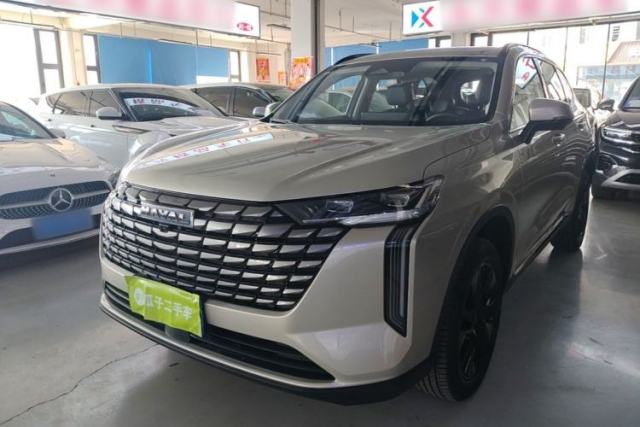 Used Haval H6 2024 1.5T Two-Wheel Drive Ultra