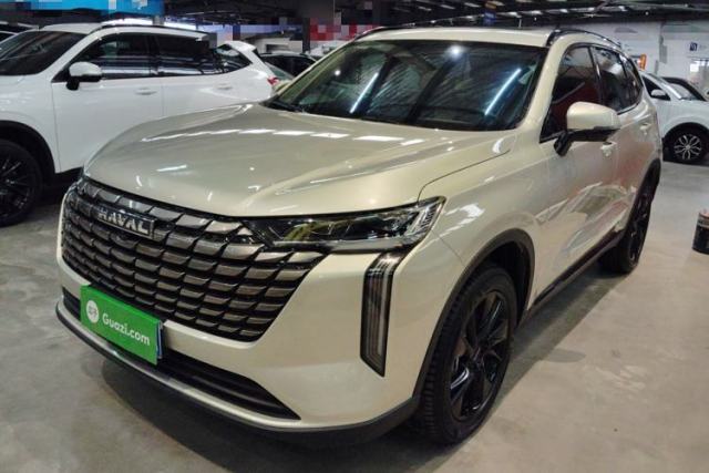 Used Haval H6 2024 2.0T All-Wheel Drive Max