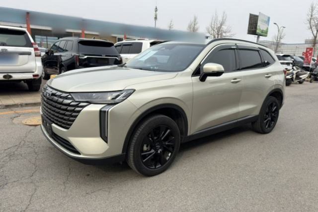 Used Haval H6 2024 2.0T All-Wheel Drive Max