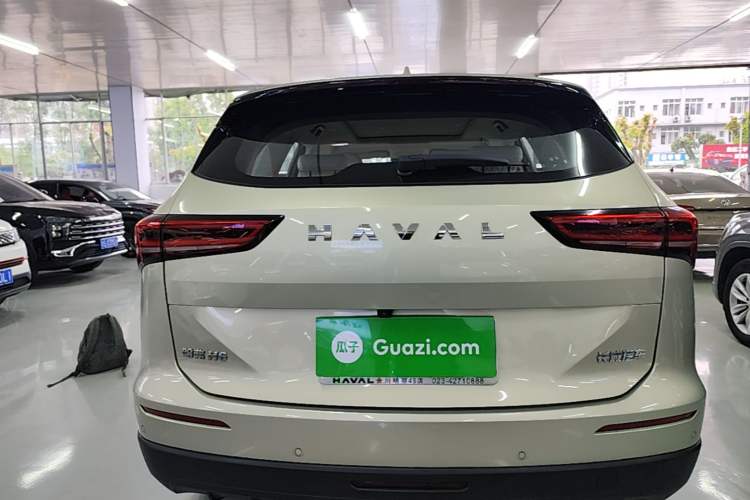 Used Haval H6 2024 1.5T Two-Wheel Drive Ultra Rear