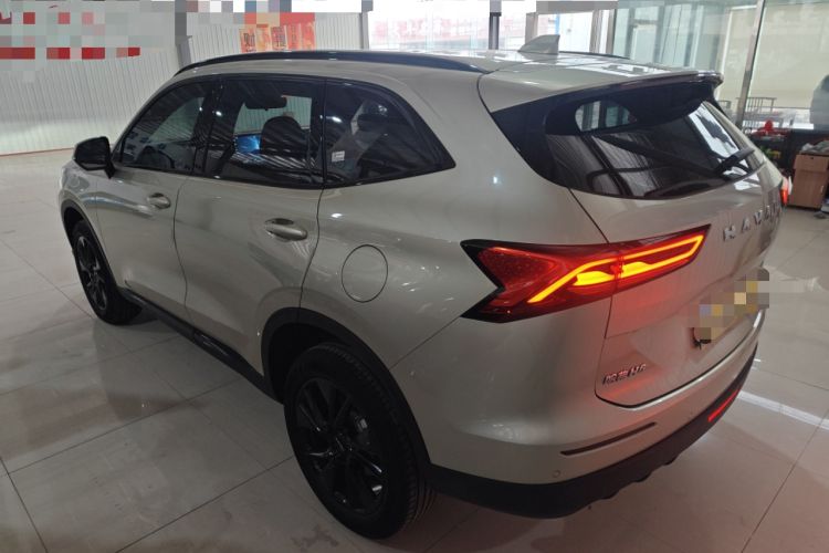 Used Haval H6 2024 1.5T Two-Wheel Drive Max Rear Left 45 Deg