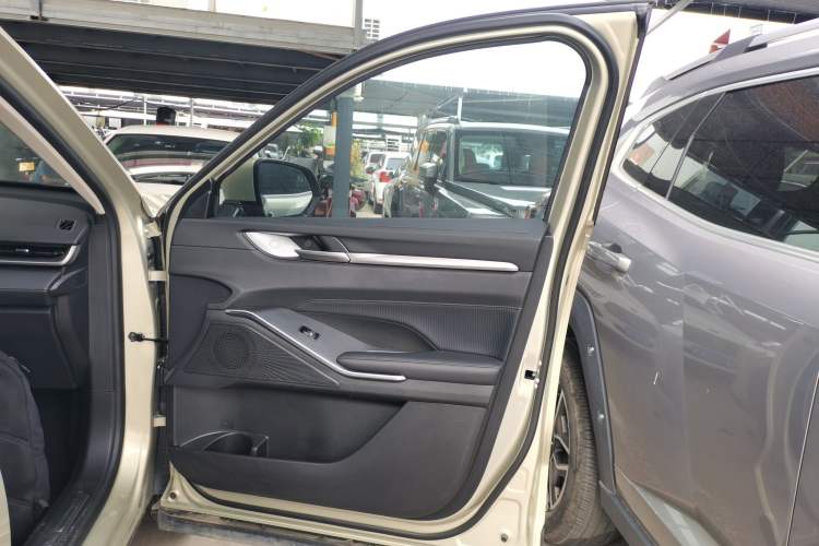 Used Haval H6 2024 1.5T Two-Wheel Drive Ultra Right Front Door Interior