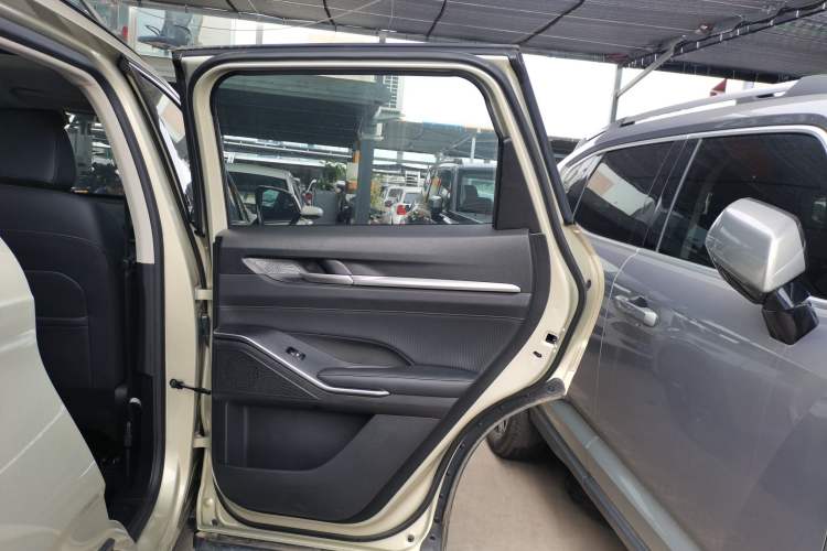 Used Haval H6 2024 1.5T Two-Wheel Drive Ultra Right Rear Door Interior
