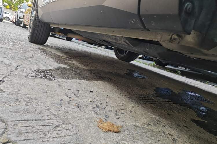 Used Haval H6 2024 1.5T Two-Wheel Drive Ultra Right Side Sill