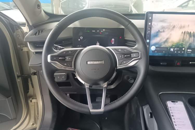 Used Haval H6 2024 1.5T Two-Wheel Drive Ultra Steering Wheel