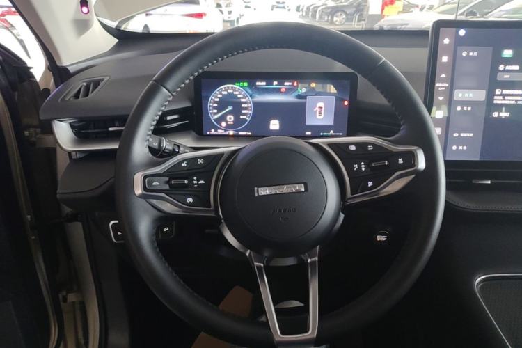 Used Haval H6 2024 1.5T Two-Wheel Drive Ultra Steering Wheel