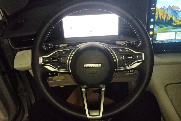 Used Haval H6 2024 2.0T All-Wheel Drive Max Steering Wheel