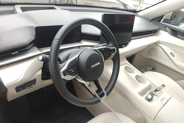 Used Haval H6 2024 1.5T Two-Wheel Drive Ultra Steering Wheel