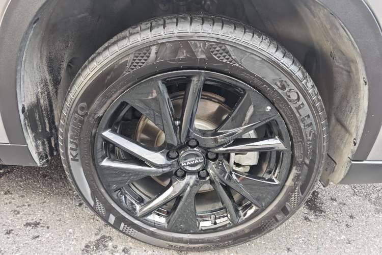 Used Haval H6 2024 1.5T Two-Wheel Drive Pro Exterior 7