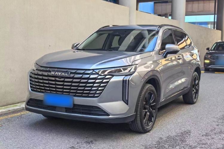 Haval H6 2024 2.0T Two-Wheel Drive Max
