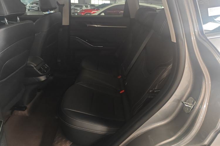 Used Haval H6 2024 1.5T Two-Wheel-Drive Classic Edition Left Rear Seat