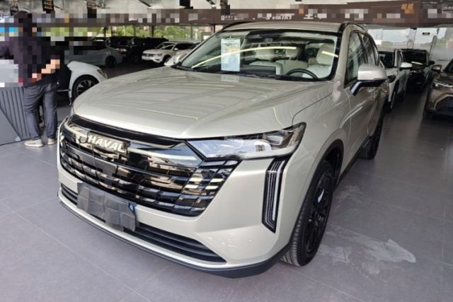 Used Haval H6 2024 1.5T Two-Wheel Drive Ultra