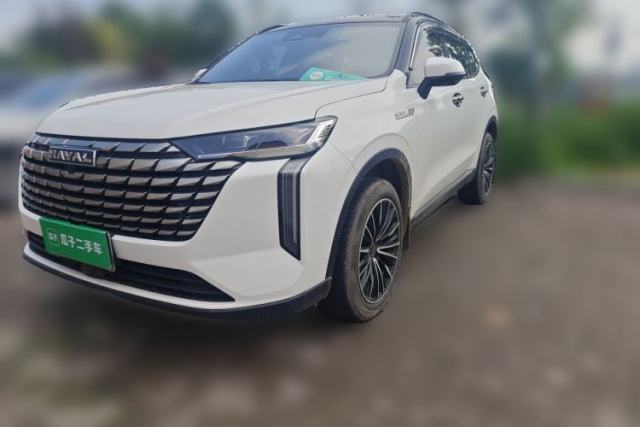 Used Haval H6 2024 2.0T Two-Wheel Drive Max