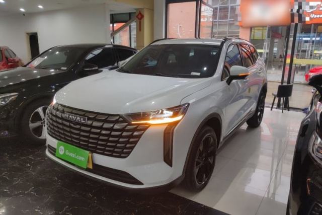 Used Haval H6 2024 2.0T Two-Wheel Drive Max