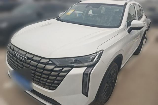 Used Haval H6 2024 1.5T Two-Wheel Drive Max