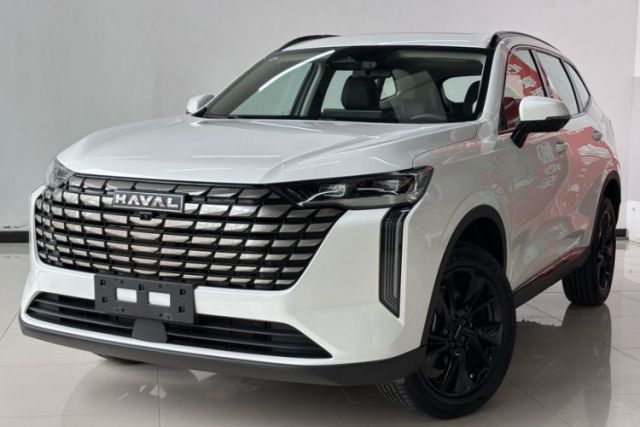 Used Haval H6 2024 1.5T Two-Wheel Drive Ultra