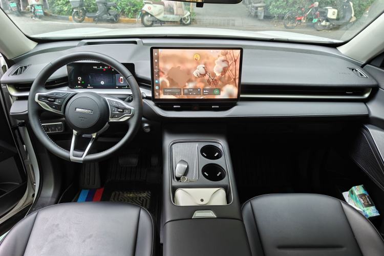 Used Haval H6 2024 1.5T Two-Wheel Drive Max Center Console