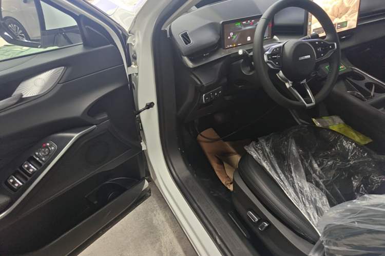 Used Haval H6 2024 1.5T Two-Wheel Drive Max Driver Seat