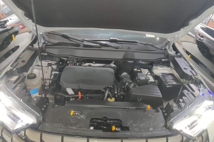 Used Haval H6 2024 2.0T Two-Wheel Drive Max Engine Bay