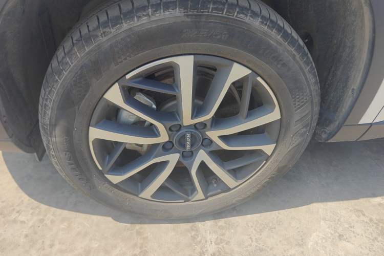 Used Haval H6 2024 1.5T Two-Wheel-Drive Classic Edition Exterior 4