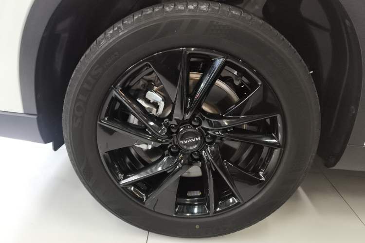 Used Haval H6 2024 1.5T Two-Wheel Drive Max Exterior 4