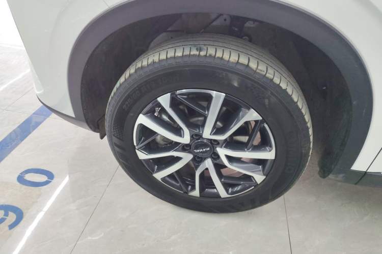 Used Haval H6 2024 1.5T Two-Wheel-Drive Classic Edition Exterior 4