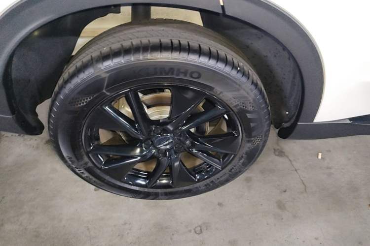 Used Haval H6 2024 1.5T Two-Wheel Drive Ultra Exterior 5