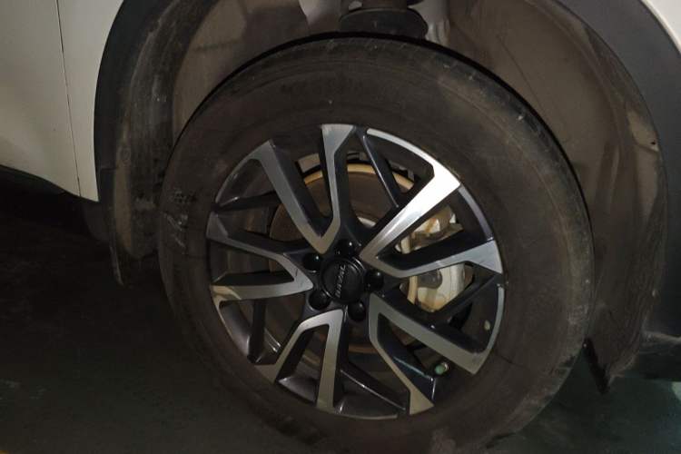 Used Haval H6 2024 1.5T Two-Wheel-Drive Classic Edition Exterior 7