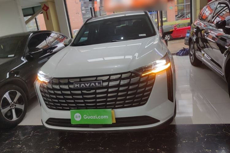 Used Haval H6 2024 2.0T Two-Wheel Drive Max Front