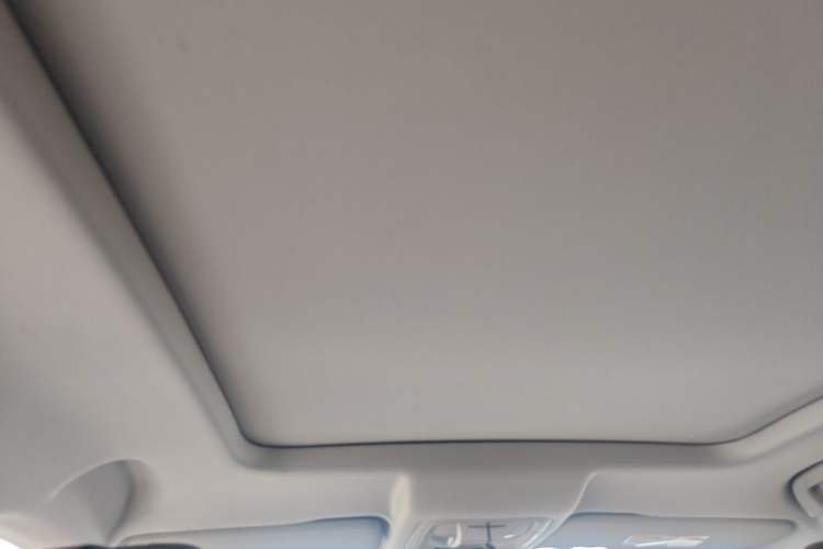 Used Haval H6 2024 2.0T Two-Wheel Drive Max Headliner
