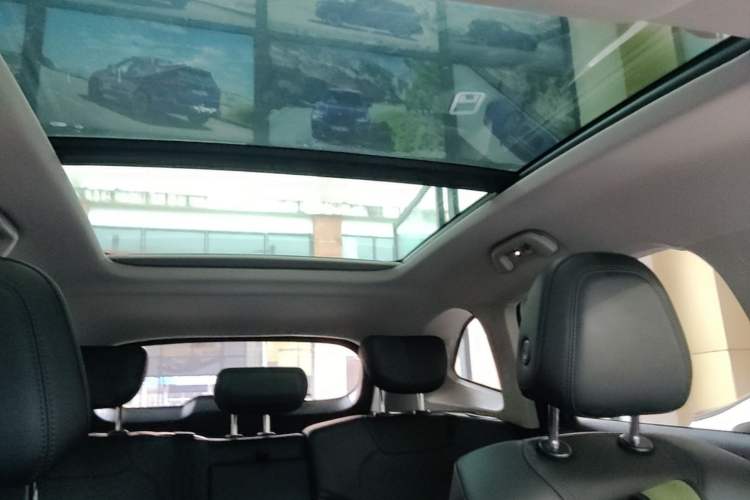 Used Haval H6 2024 2.0T Two-Wheel Drive Max Headliner
