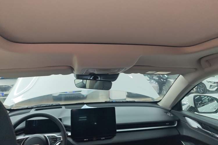 Used Haval H6 2024 1.5T Two-Wheel Drive Max Headliner