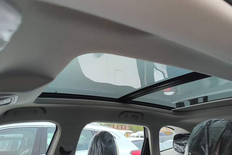 Used Haval H6 2024 1.5T Two-Wheel-Drive Classic Edition Headliner