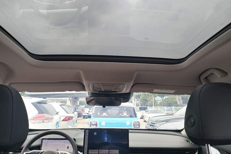 Used Haval H6 2024 1.5T Two-Wheel Drive Max Headliner