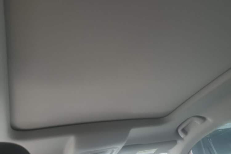 Used Haval H6 2024 2.0T All-Wheel Drive Max Headliner