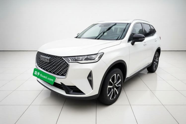 Haval H6 2024 1.5T Two-Wheel-Drive Classic Edition