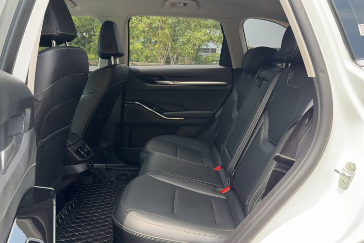 Used Haval H6 2024 1.5T Two-Wheel-Drive Classic Edition Left Rear Seat