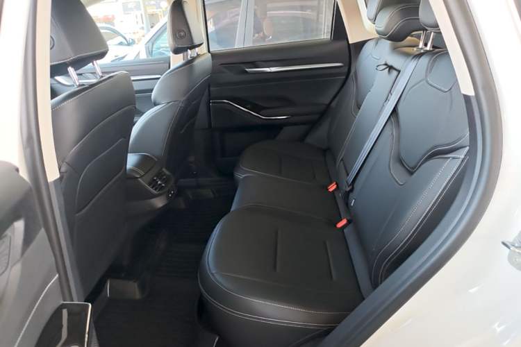 Used Haval H6 2024 1.5T Two-Wheel-Drive Classic Edition Left Rear Seat