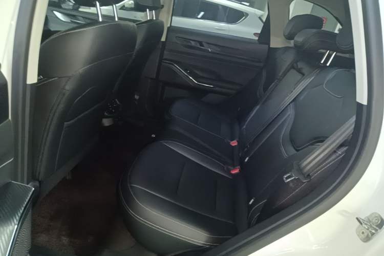 Used Haval H6 2024 1.5T Two-Wheel-Drive Classic Edition Left Rear Seat