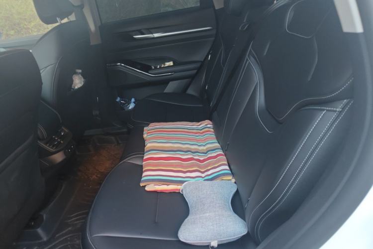 Used Haval H6 2024 1.5T Two-Wheel-Drive Classic Edition Left Rear Seat