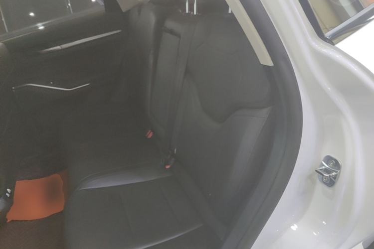 Used Haval H6 2024 2.0T Two-Wheel Drive Max Left Rear Seat