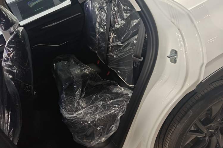 Used Haval H6 2024 1.5T Two-Wheel Drive Max Left Rear Seat