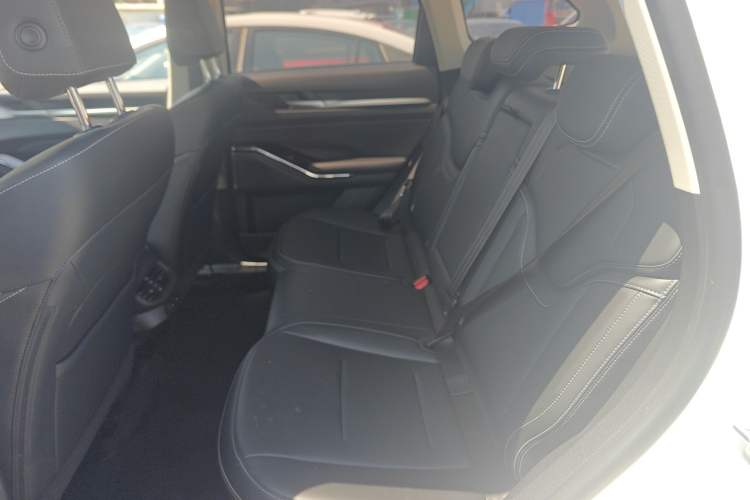 Used Haval H6 2024 1.5T Two-Wheel-Drive Classic Edition Left Rear Seat