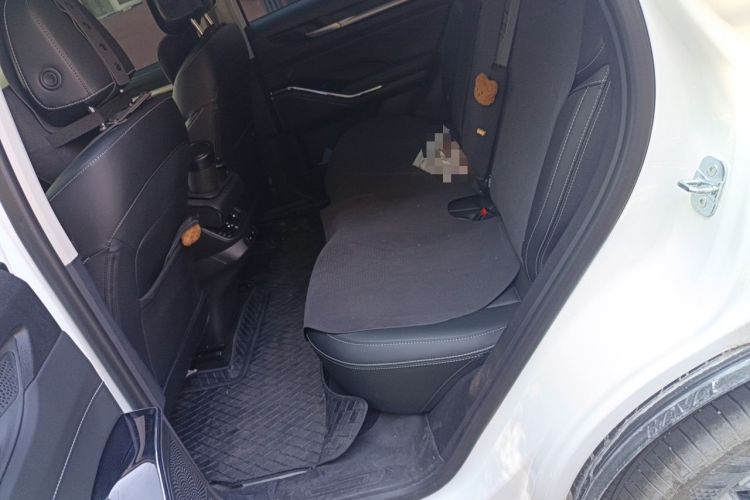 Used Haval H6 2024 1.5T Two-Wheel-Drive Classic Edition Left Rear Seat