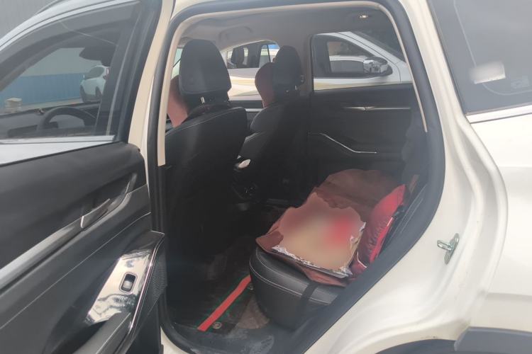 Used Haval H6 2024 1.5T Two-Wheel-Drive Classic Edition Left Rear Seat